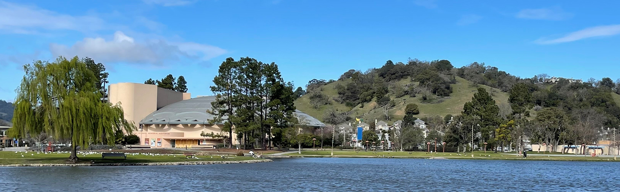 Zoom Information For July 8th Appellate Calendar | Marin County Superior  Court